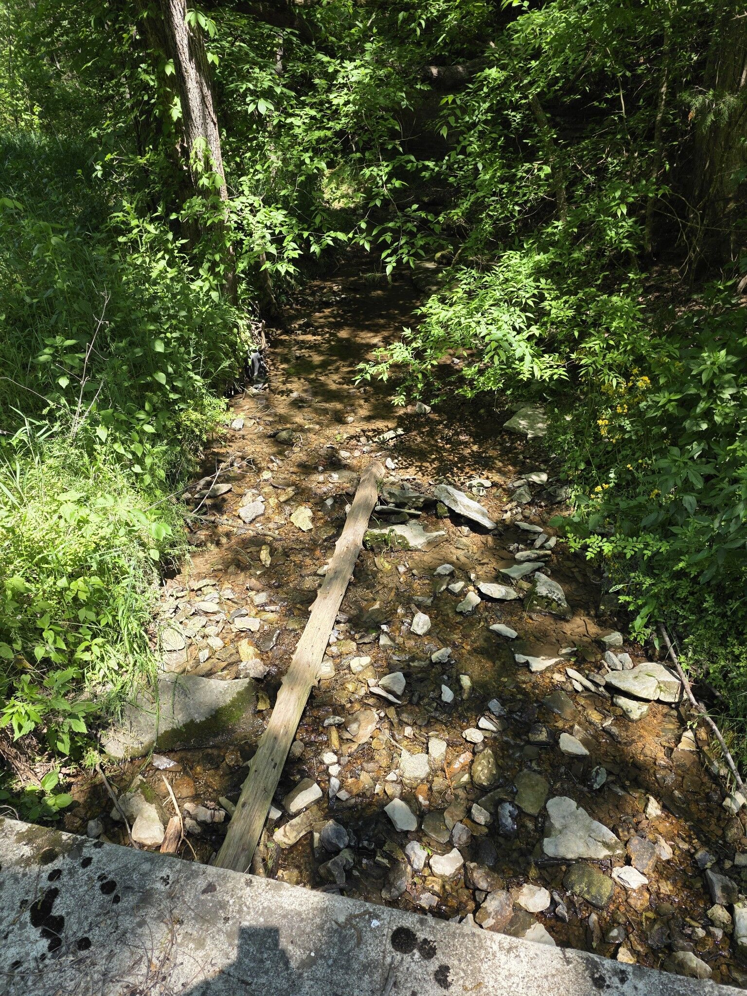 Property Photo: 806 Brandon Hollow TN 37352