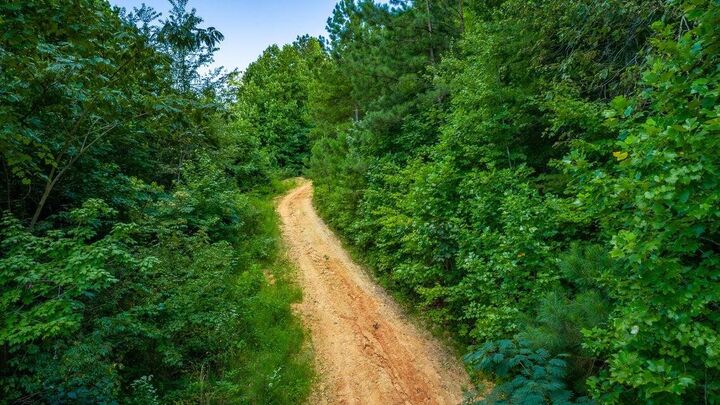 Property Photo:  359 County Road 4  TN 37309 