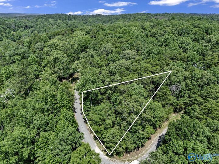 Property Photo:  Lot 6 Whippoorwill Drive  AL 35553 