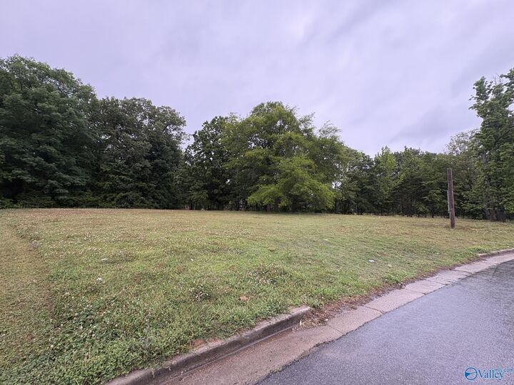 Property Photo:  Lot 4 Wimberly  Drive  AL 35603 