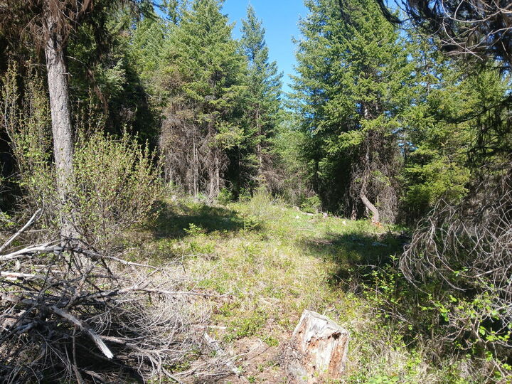 Property Photo: 24X Bardwell Rd WA 99118