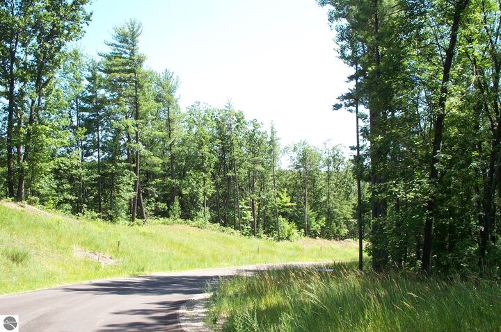 Property Photo:  6354 Cedarmere  MI 49686 