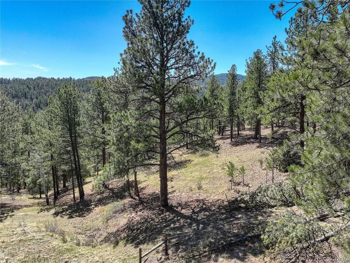 Property Photo:  000 Hayden Ridge Road  CO 80439 