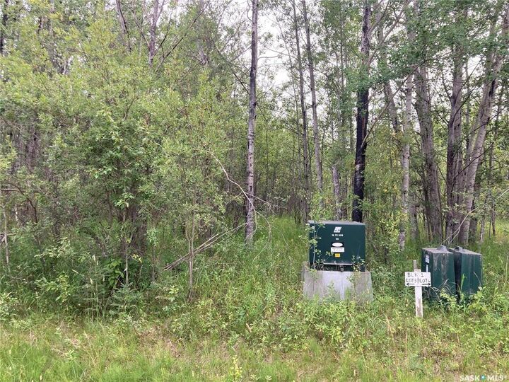 Photo de la propriété:  Rural Address  SK S0J 0E0 