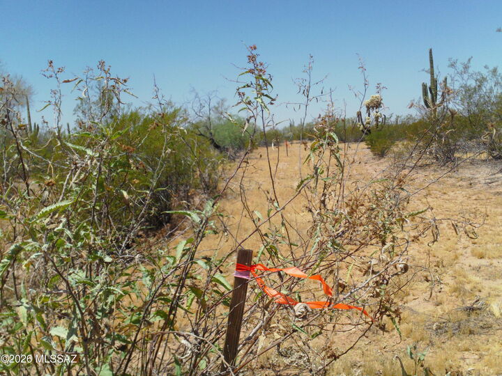 Property Photo:  E Hemlock Drive 15-Ac  AZ 85658 