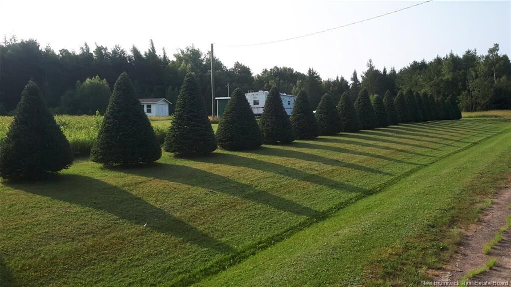 Property Photo:  Lot Angel Road  NB E4X 0B3 