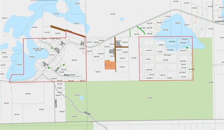Property Photo:  Georgetown Denver Point Road  FL 32139 