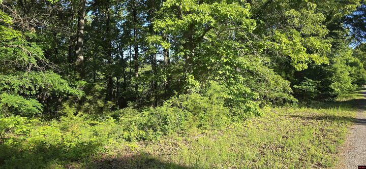 Property Photo:  Lot 25 Lakepointe Drive  AR 72634 