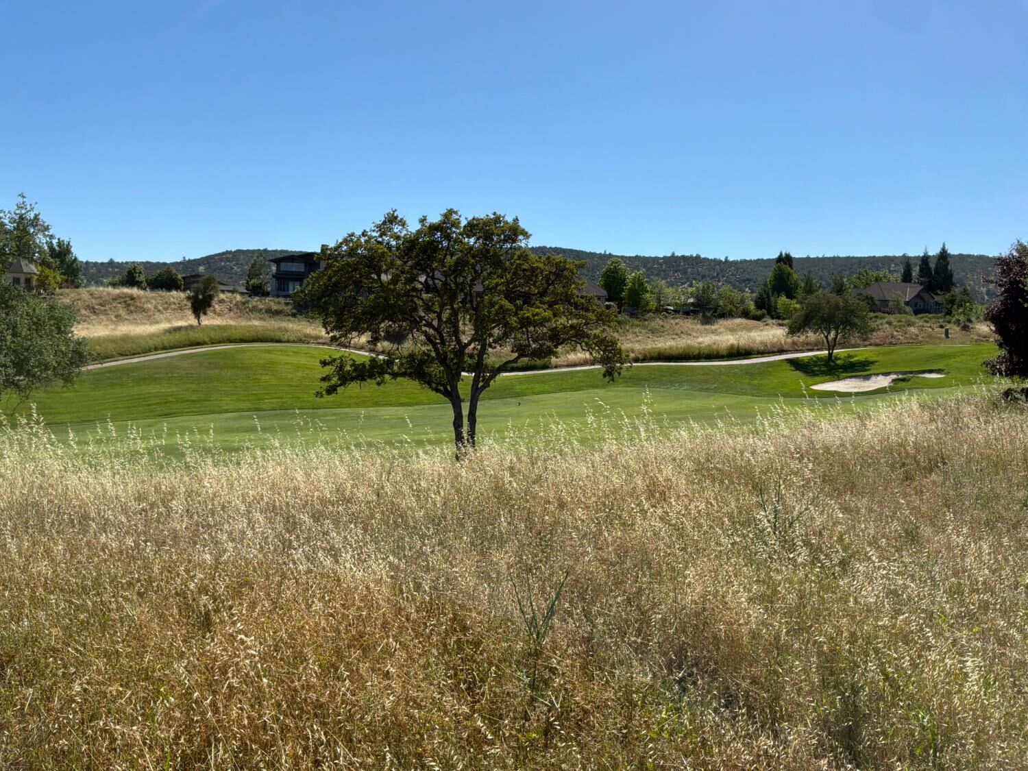 Property Photo: 2196 Oak Creek Drive CA 95228