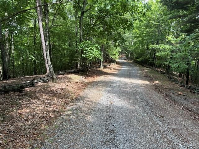 Property Photo:  28.4 Ac Black Dog Trail  GA 30513 