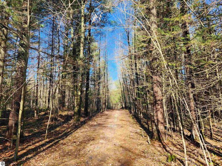 Property Photo: 00 Adams Road MI 49646