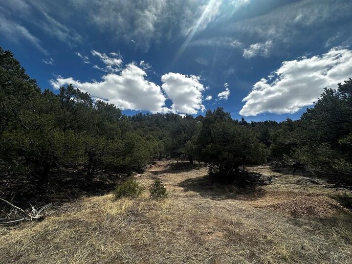 Property Photo:  938 Shoshone Dr  CO 81212 