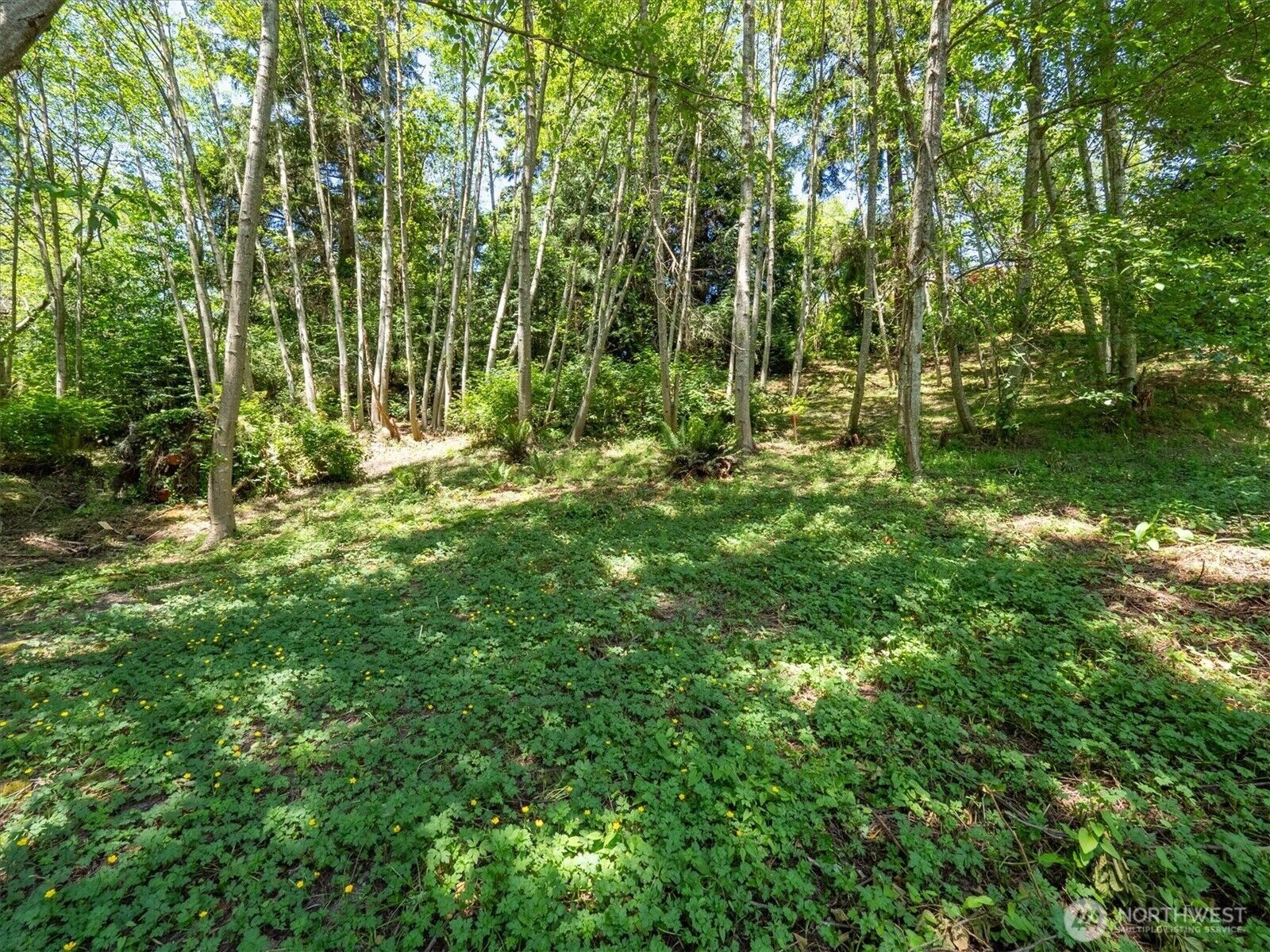 Property Photo:  152 154 N 175th Street  WA 98133 