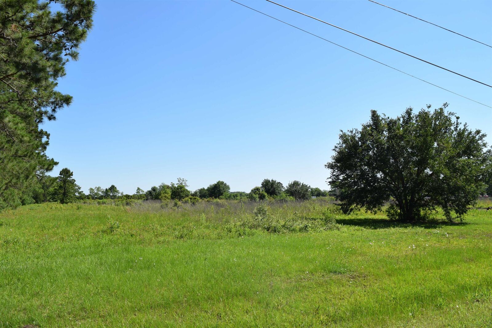 Property Photo:  0000 Kent Rd  TX 77705-0000 
