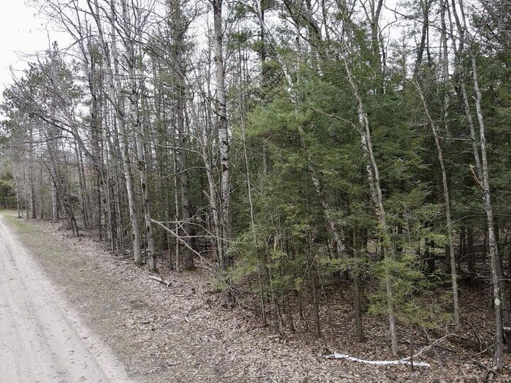 Property Photo: Par 3 Needles Road MI 49749