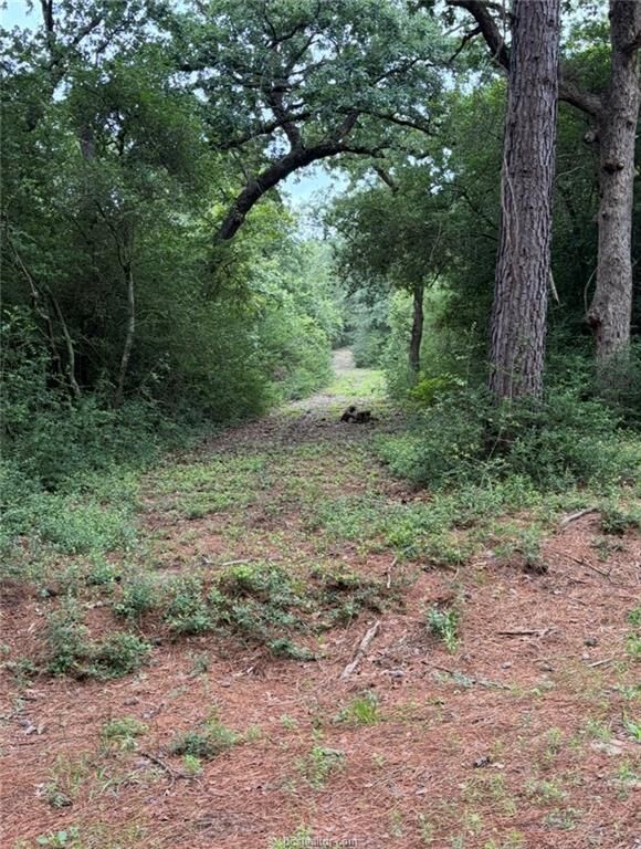 Property Photo:  3458 Private Road 1425  TX 75833 