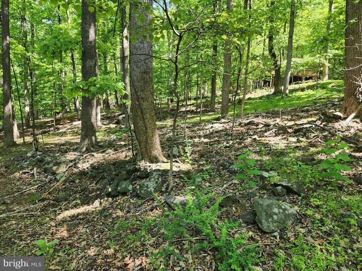 Property Photo: Cashmere Court VA 22642