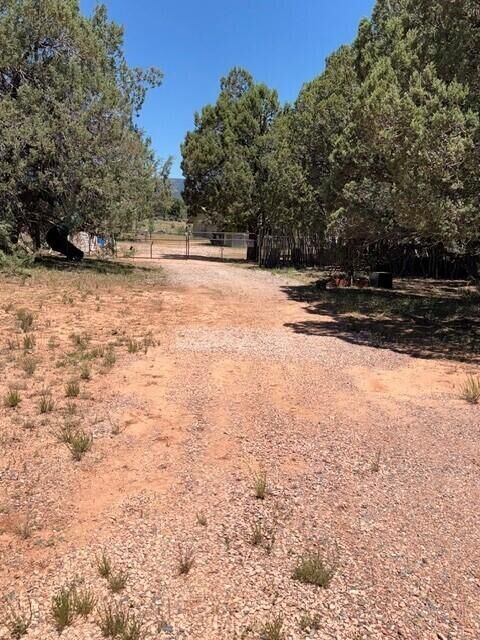 Property Photo:  Lot 46 Park Rd  AZ 85541 