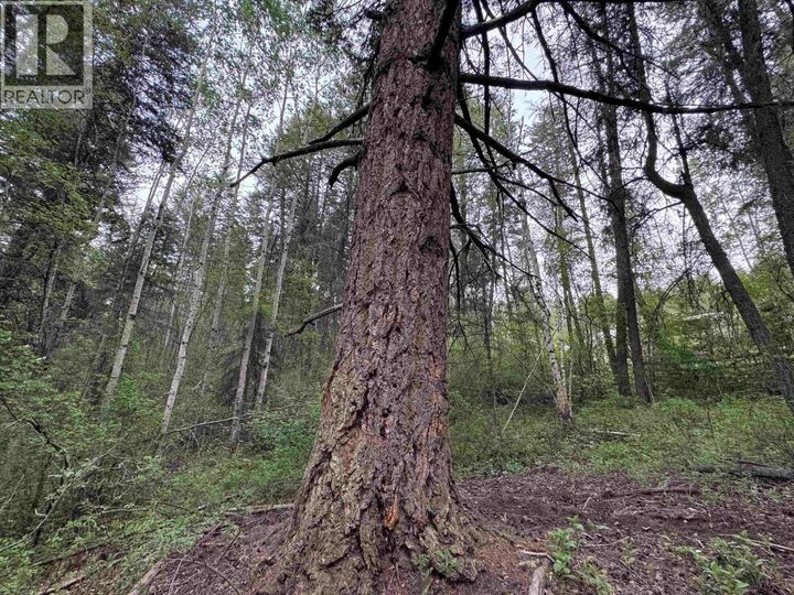Property Photo:  550 Dog Creek Road  BC V2G 3P9 