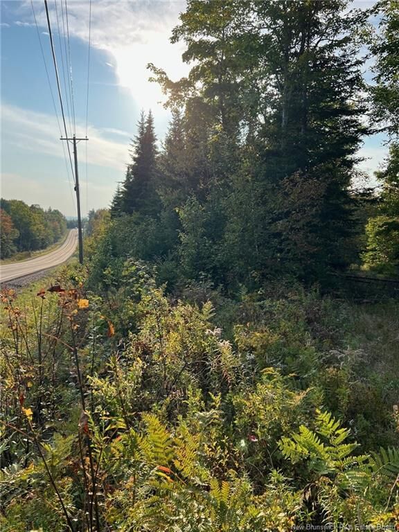 Property Photo:  Lot 24-1 Rte 3  NB E6K 1T3 