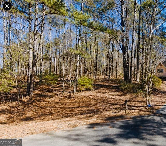 Property Photo:  110 Bunnie Trail  GA 30294 
