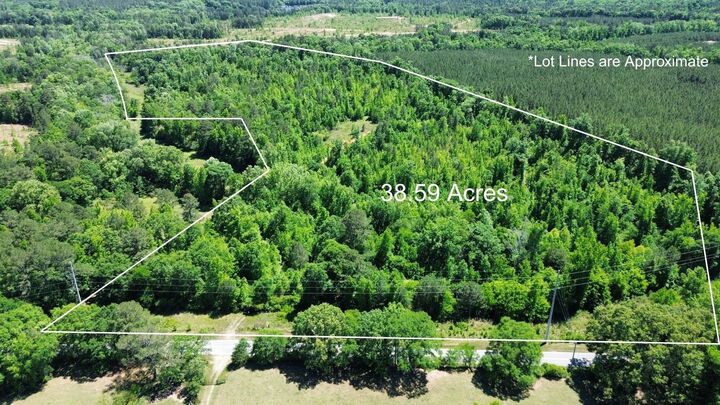 Property Photo:  38.59 Acres Leslie Mill Road  GA 30642 
