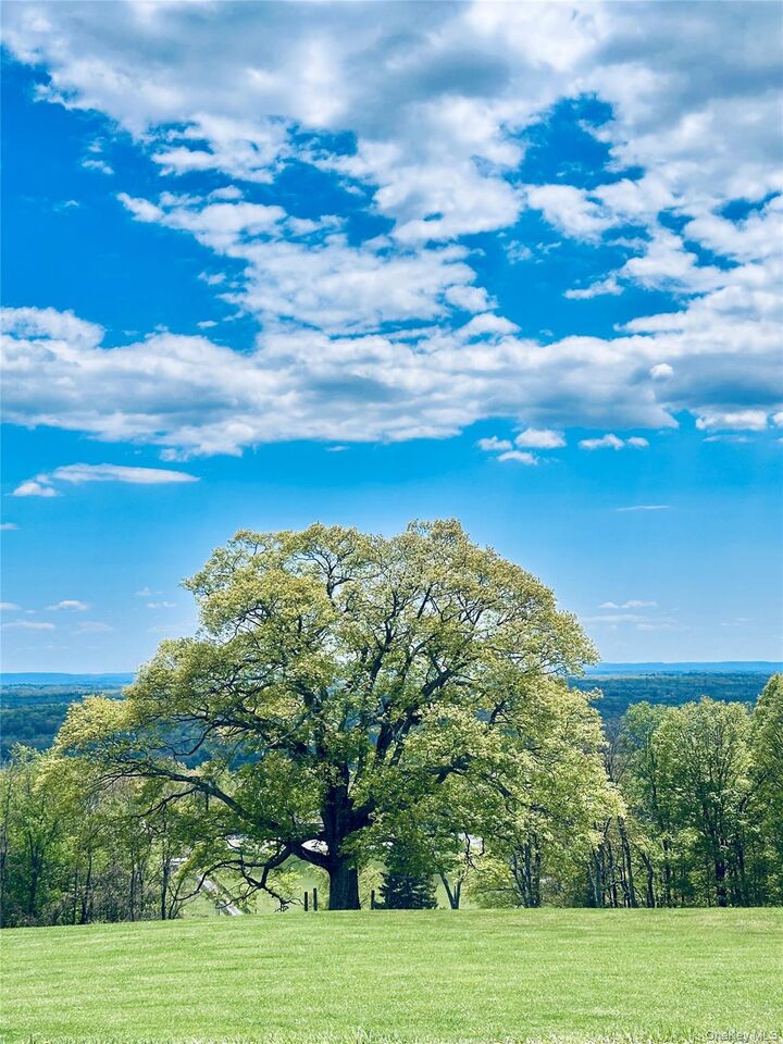 Property Photo:  4 Rachel Court  NY 12721 