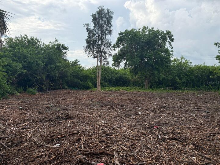 Property Photo:  861 Burland Street  FL 33950 