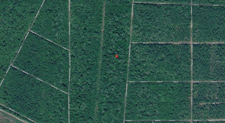 Property Photo: E Deep Creek Boulevard FL 32145