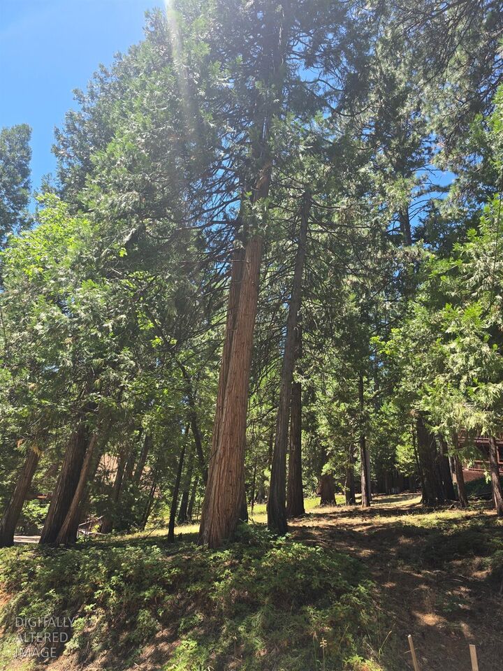 Property Photo: 594 Dean Way CA 95223