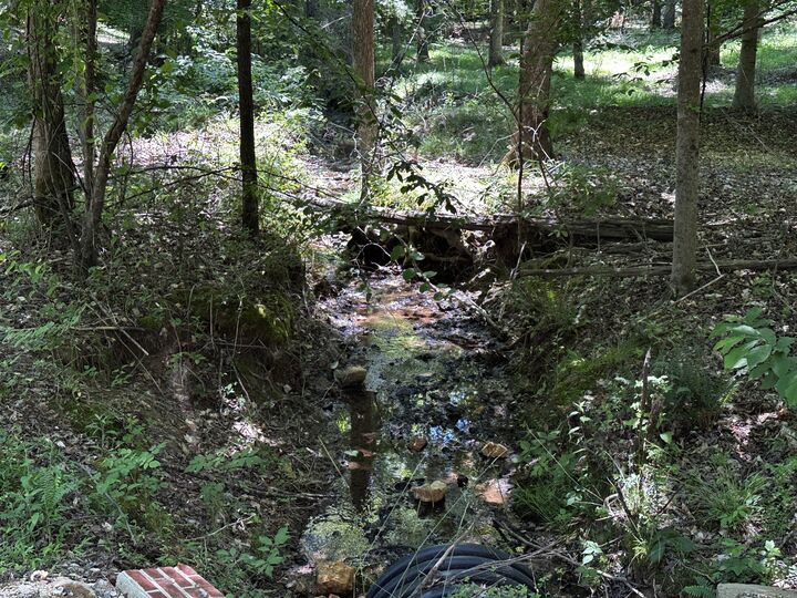 Property Photo:  0 Littrell Road  TN 38469 