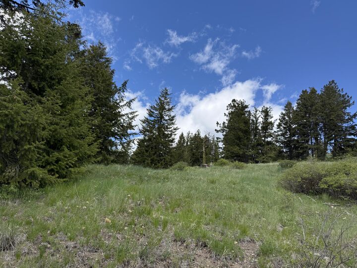 Property Photo: Tbd Toroda Creek Rd WA 98859