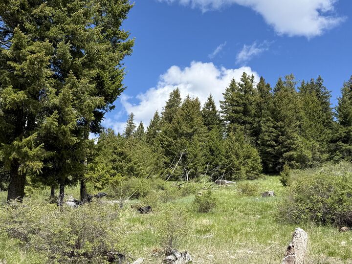 Property Photo:  Tbd Old Sheridan Rd  WA 98859 