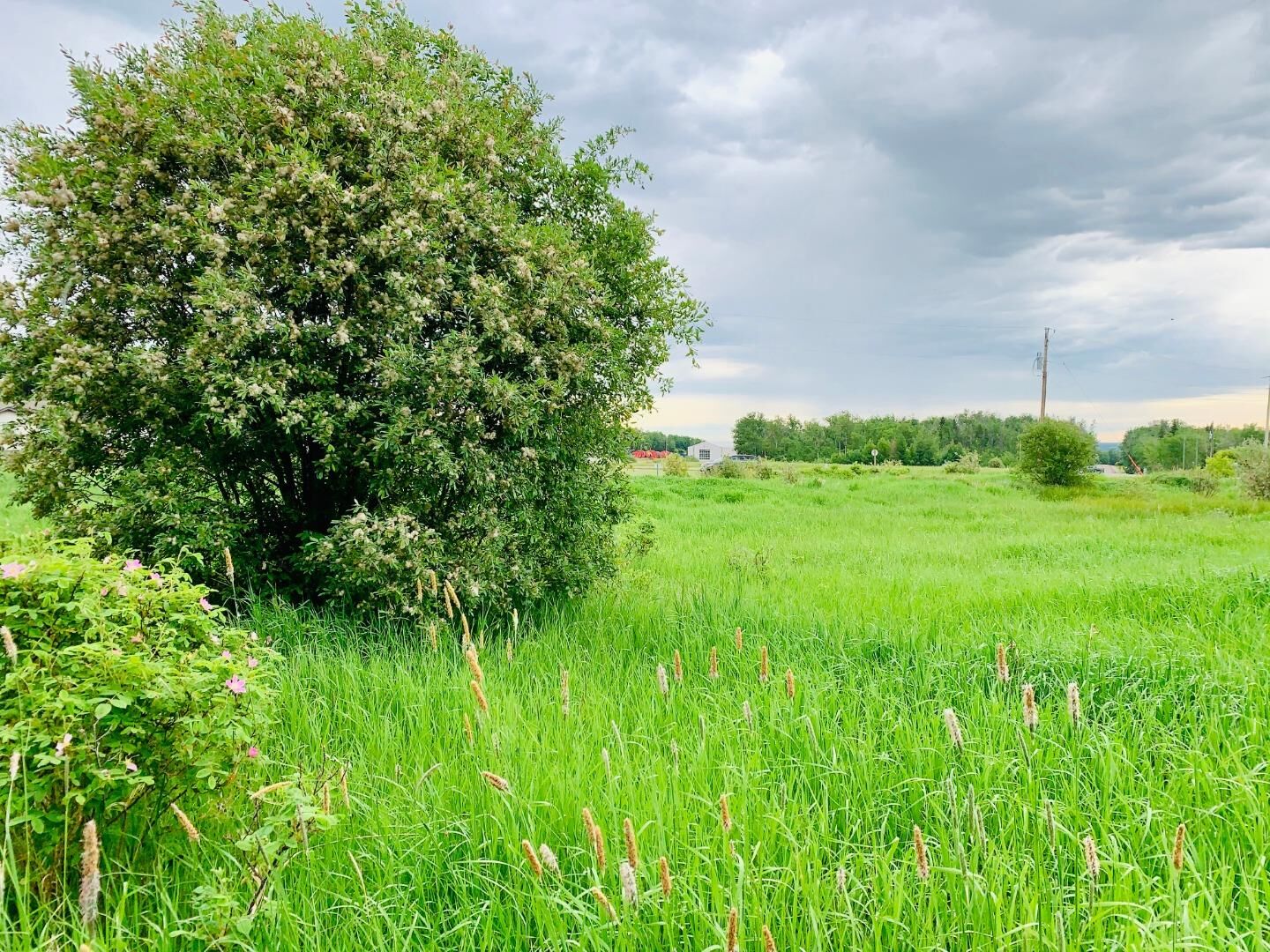 Property Photo: 113 67062 Mission Road AB T0A 2C0