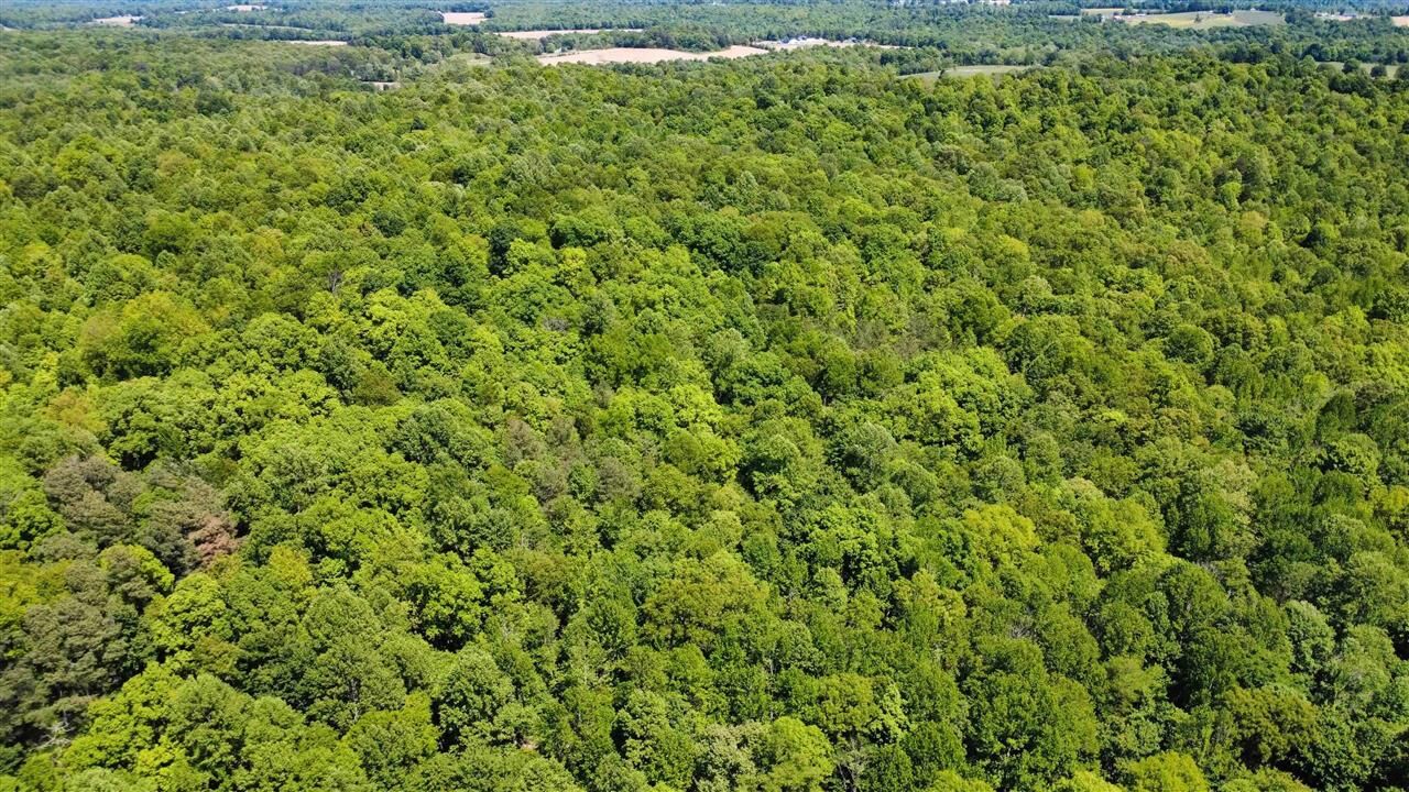 Property Photo:  0 State Route 919  KY 42343 