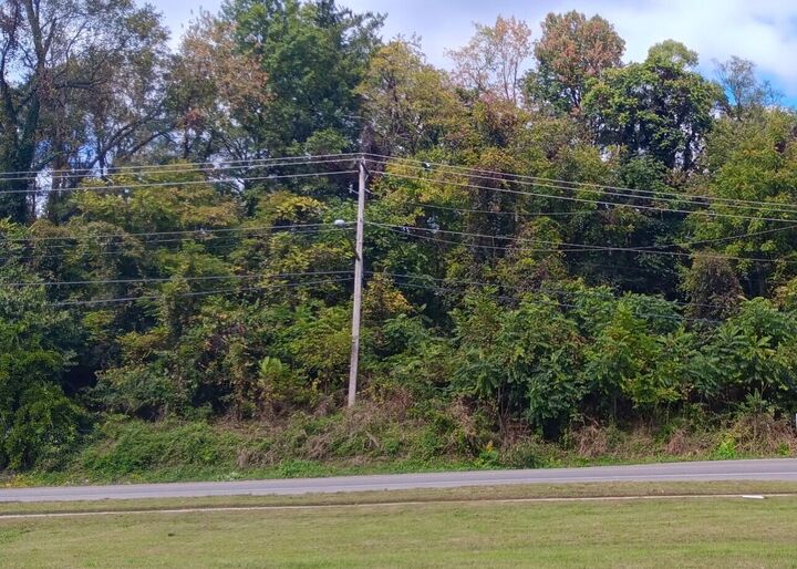 Property Photo: 0 Brandon Ave SW VA 24015