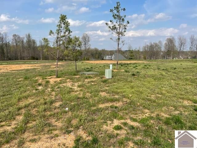 Property Photo: 195 Falling Brook Dr KY 42003
