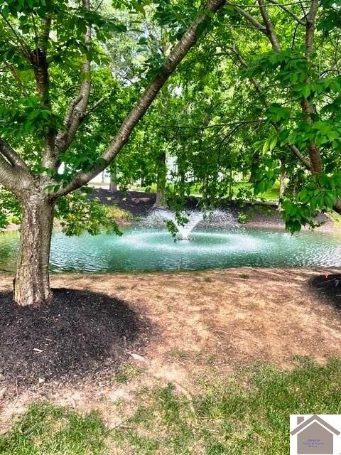 Property Photo: 195 Falling Brook Dr KY 42003