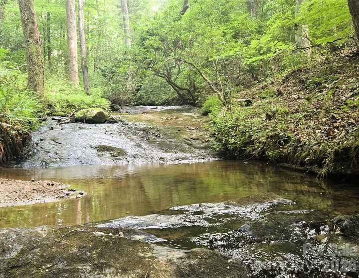 Property Photo:  670 Cedar Creek Road  NC 28746 
