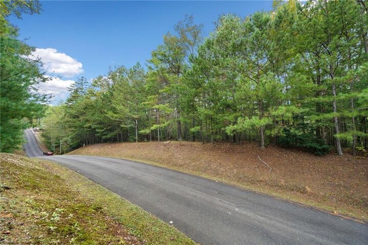 Property Photo:  0 Trout Line Court  GA 30175 
