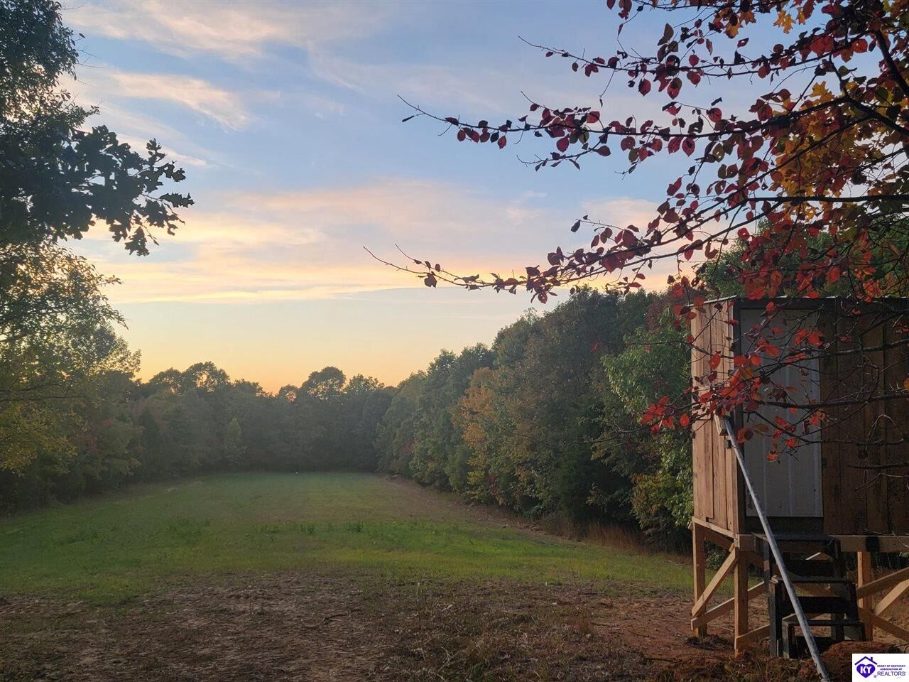Property Photo:  1277 Junction Road  KY 40119 