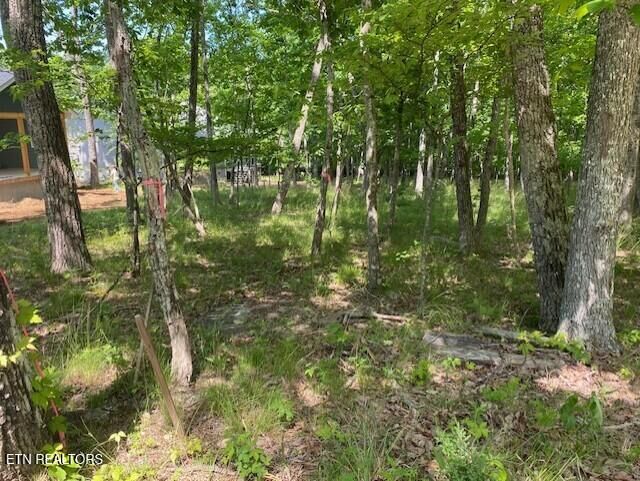 Property Photo:  11 Rolling Green Circle  TN 38558 