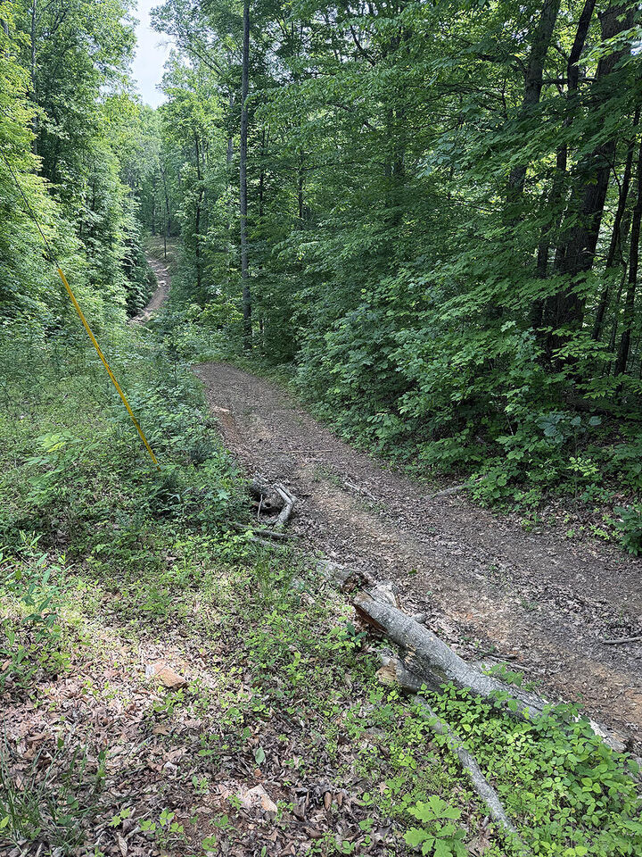Property Photo:  Lots 28-33 Twin Oak Road  KY 42544 