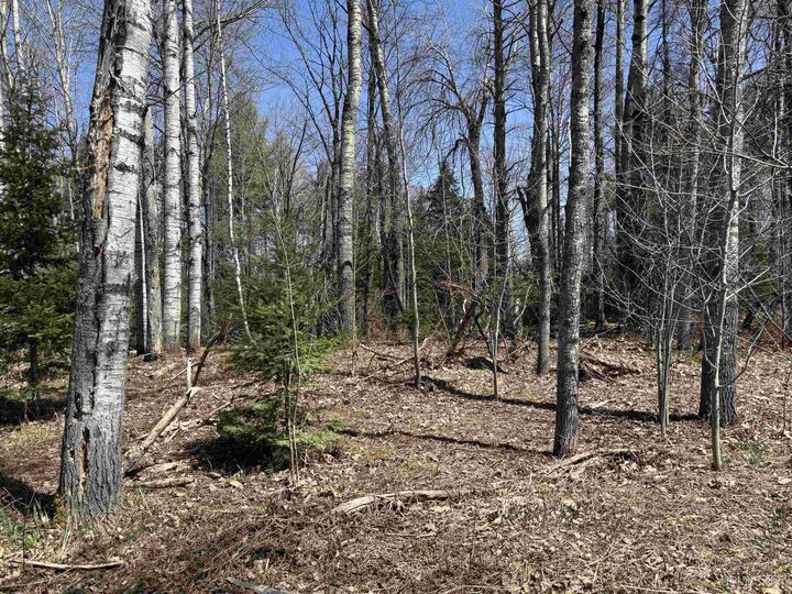 Property Photo: Tbd County Road 581 Road MI 49849
