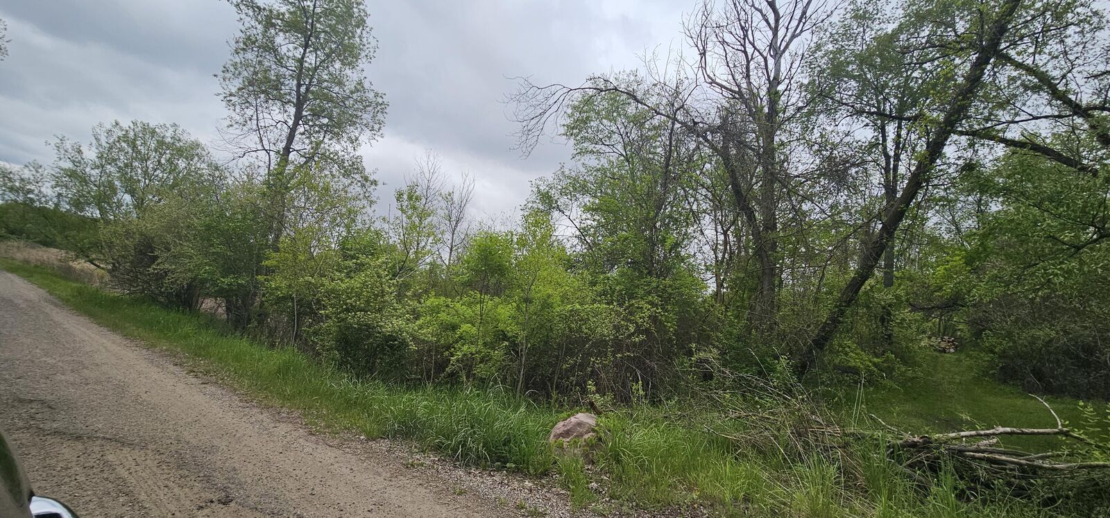 Property Photo: Michigan W Michigan Avenue E MI 49224