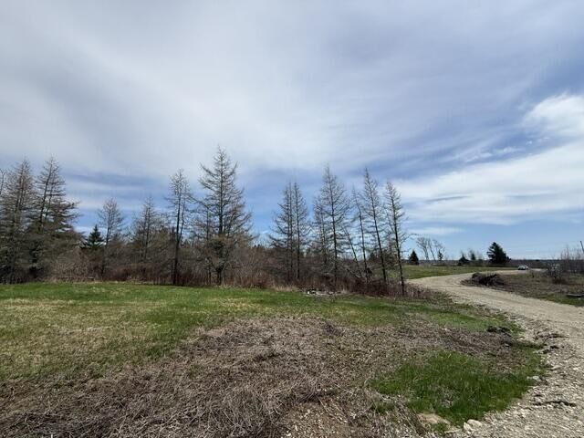 Property Photo:  Lot 4 Holmes Bay Farms Road  ME 04691 