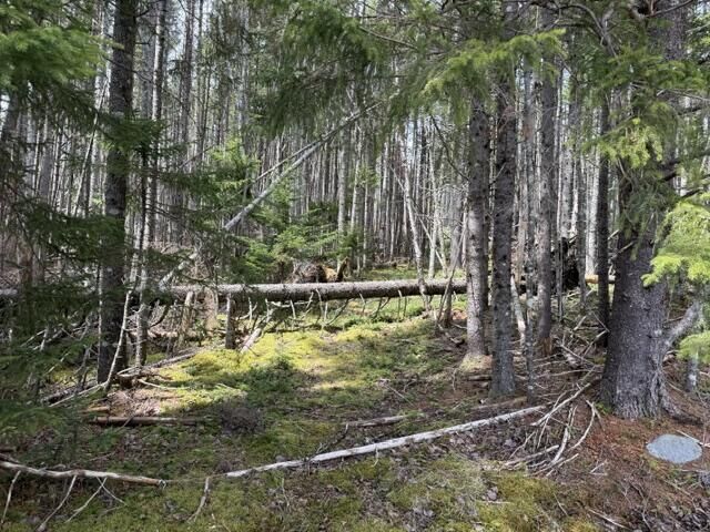 Property Photo: Lot 6 Holmes Bay Farms Road ME 04691