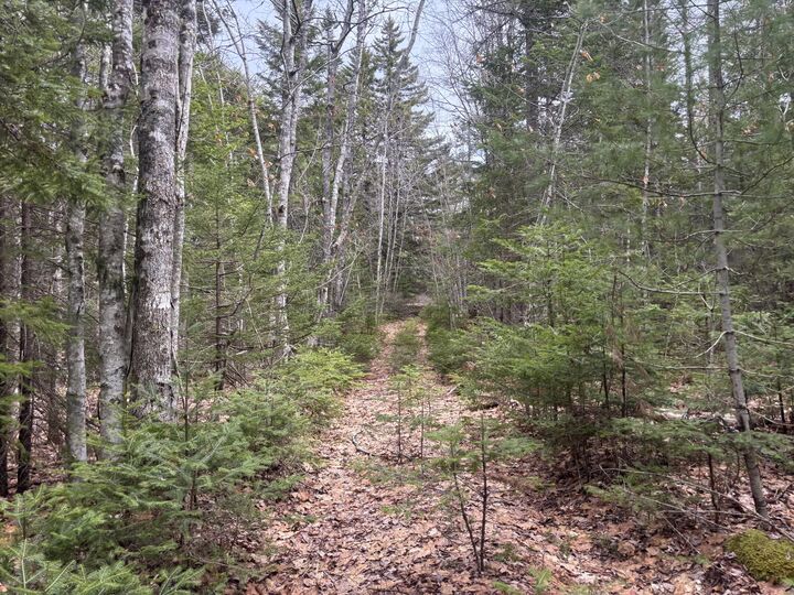Property Photo: M11l17&17C Rogers Point Road ME 04680