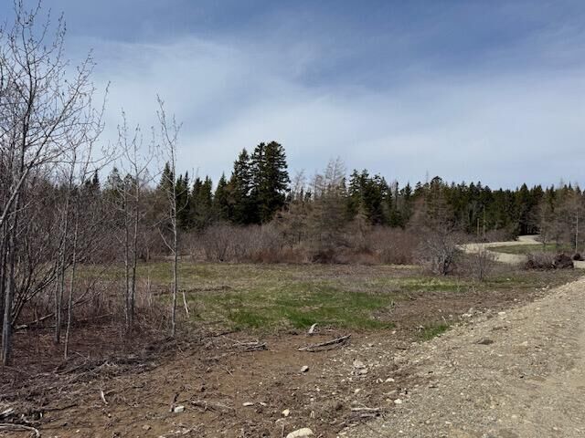 Property Photo:  Lot 2 Holmes Bay Farms Road  ME 04691 