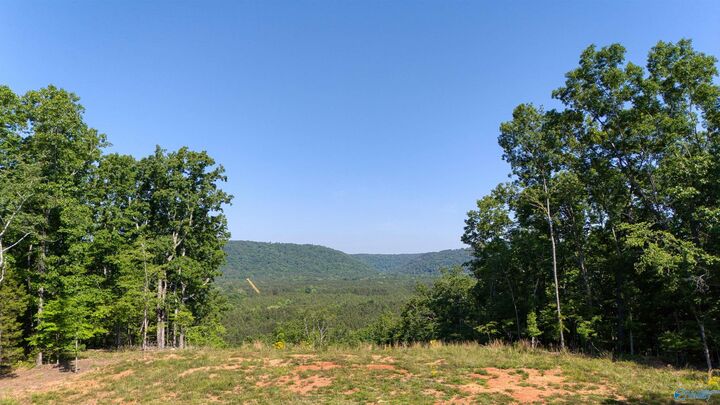 Property Photo:  1450 County Road 137  AL 35959 